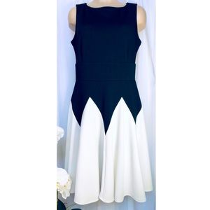 Danny and Nicole Black & White Tank Dress